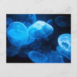 Moon Jellyfish Postkarte