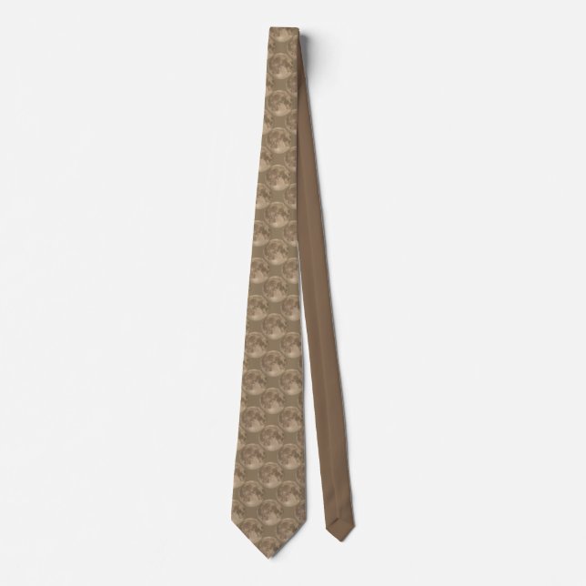 Moon Krawatte Vollmond Neckties Super Moon Geschen (Vorderseite)
