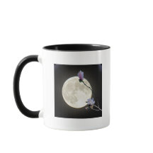 Moon & Magnolia
