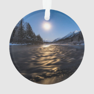 Moon Ornament