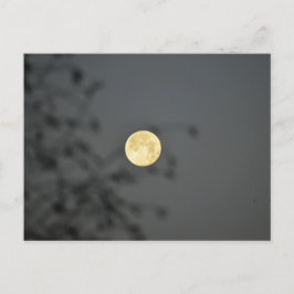 Moon Postkarte