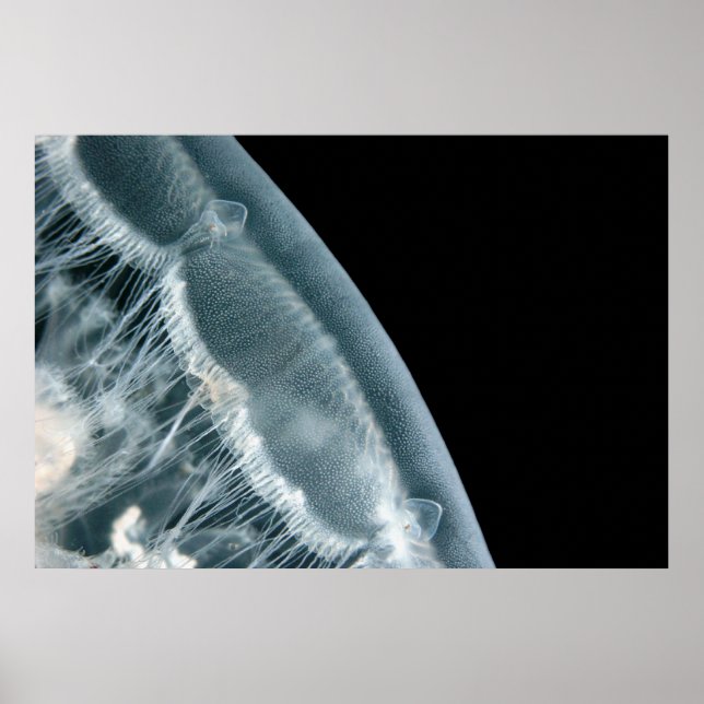 Moon Rise - Fine Art Print Poster (Vorne)