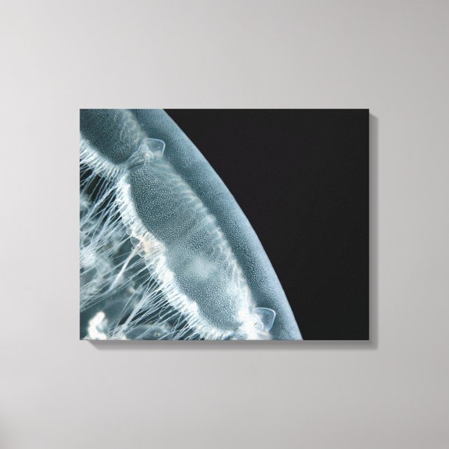 Moon Rise Wrapped Canvas Leinwanddruck (Vorderseite)