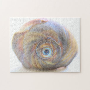 Moon Snail Muschel Jigsaw Puzzle