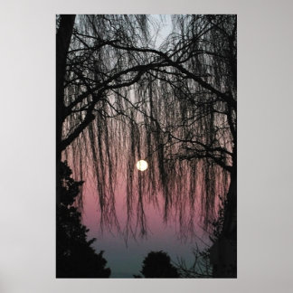 Moon Through Trees Fotografy Poster