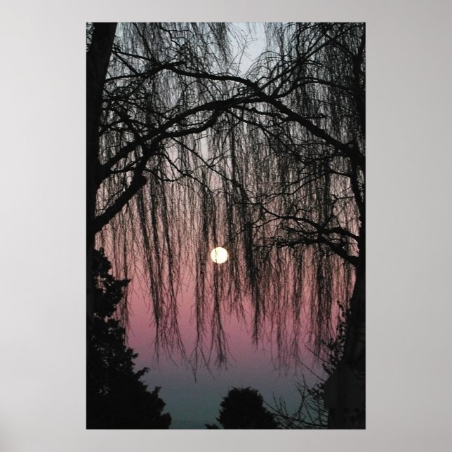 Moon Through Trees Fotografy Poster (Vorne)