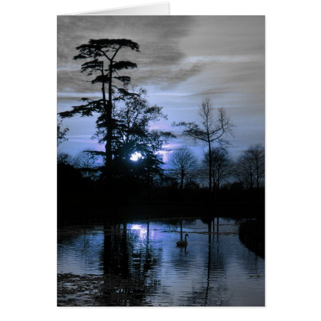 Moon Tree (Vorne)