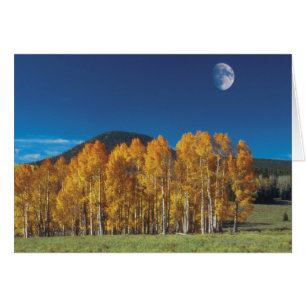 Moon über einer Landschaft, Monument-Tal-Navajo