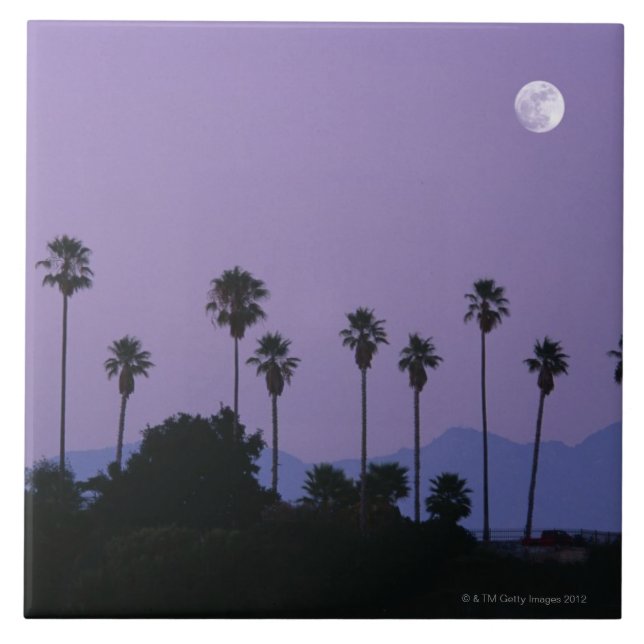 Moon über Palmen an der Dämmerung, Hollywood Fliese (Vorderseite)