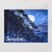 Moon über schneebedeckten Tannenbaum und Meeresküs