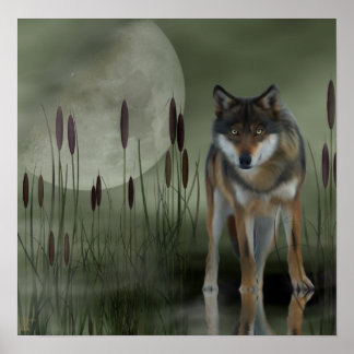 Moon Wolf - Wolf, Tiere Poster