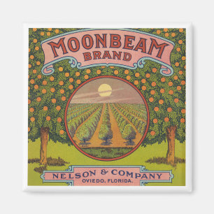 Moonbeam Brand Vintages Zitruszeichen Magnet