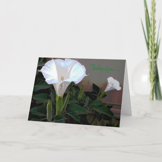Moonflower, das an Sie denkt Karte (Vorderseite)