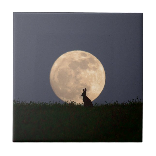 Moongazer.JPG Fliese (Vorderseite)
