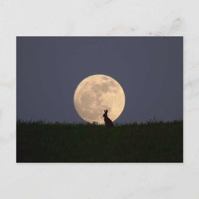 Moongazer Postkarte (Vorderseite)