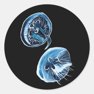 MoonJellyfish Aquarellkunst Runder Aufkleber