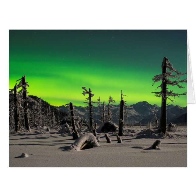 Moonlight Aurora (Vorderseite (Horizontal))