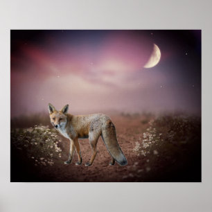 Moonlight Dream Fox Szene Poster