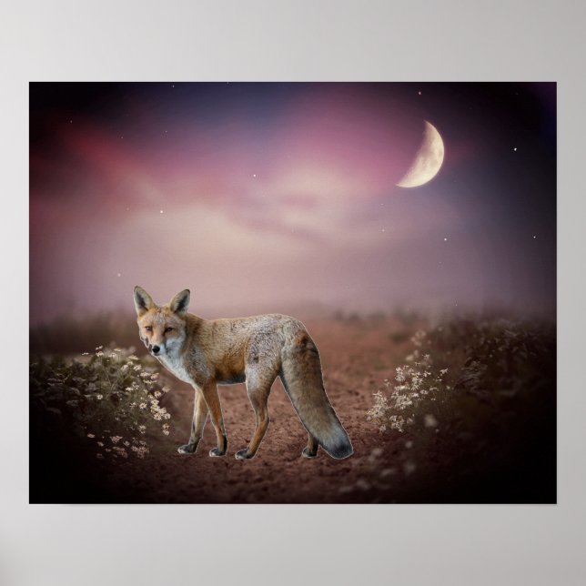 Moonlight Dream Fox Szene Poster (Vorne)