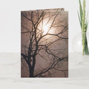 Moonlight Dream Karte