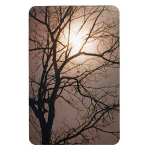 Moonlight Dream Magnet