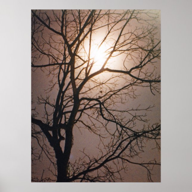 Moonlight Dream Poster (Vorne)