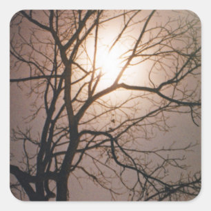 Moonlight Dream Quadratischer Aufkleber