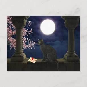 Moonlight Kitty Postkarte
