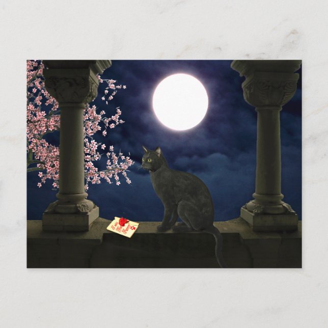 Moonlight Kitty Postkarte (Vorderseite)