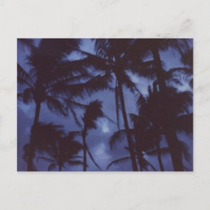 Moonlight PalmTrees Postcard Postkarte