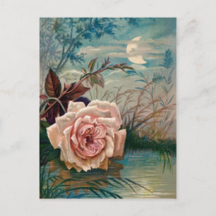 Moonlight-Rose Postkarte