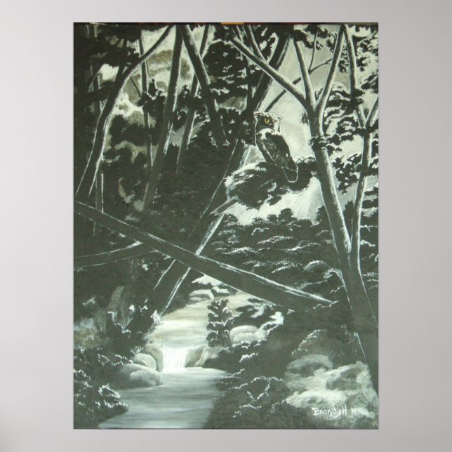 Moonlight Shadows Poster (Vorne)