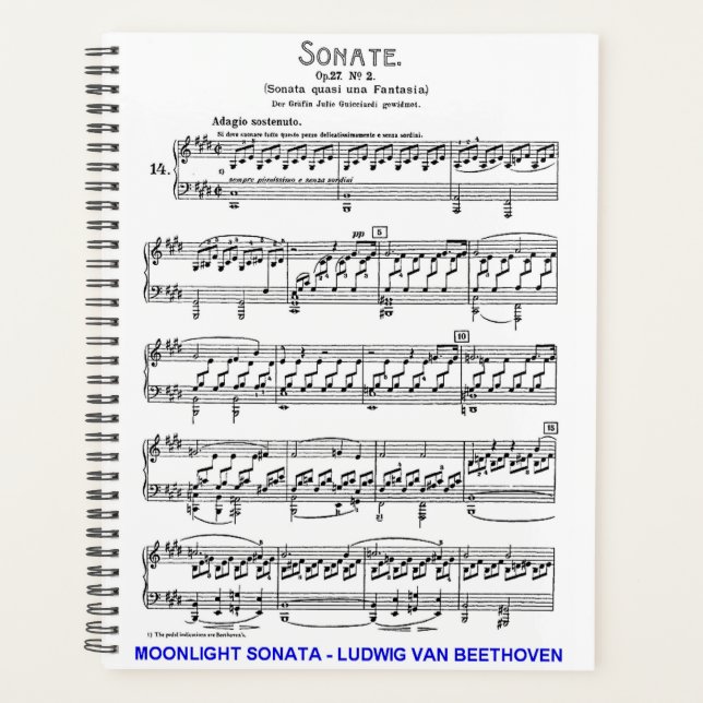 Moonlight-Sonata-Ludwig-Beethoven Planer (Vorderseite)
