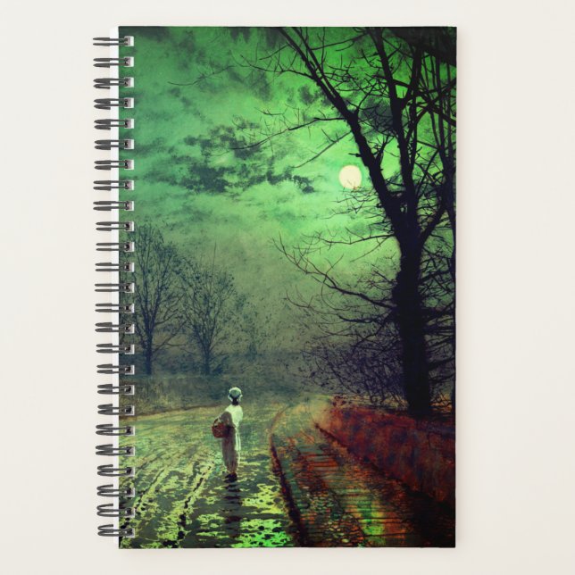 Moonlight Walk  (Devant)