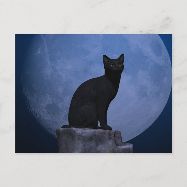 Moonlit Cat Postkarte (Vorderseite)