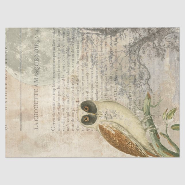 Moonlit Eule Decoupage Seidenpapier (Vorderseite)