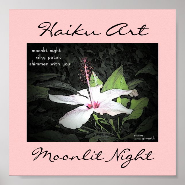 Moonlit Night Haiku Art Print Poster (Vorne)
