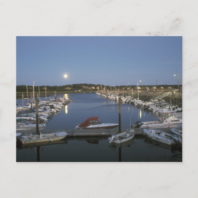 Moonrise über Wellfleet Harbor Cape Cod Postkarte (Vorderseite)