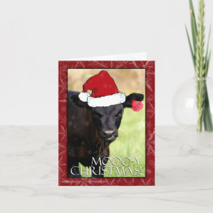 Moooo-y Christmas! Feiertagskarte