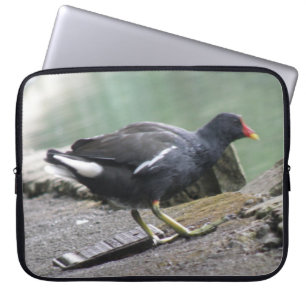 Moorhen Laptop Bag Laptopschutzhülle