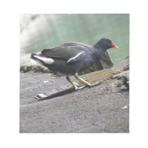 Moorhen Notepad Notizblock