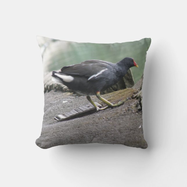 Moorhen Pillow Kissen (Vorderseite)