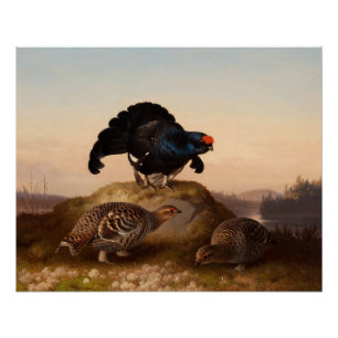 Moorhühner 1870 Ferdinands von Wright Orrar Poster