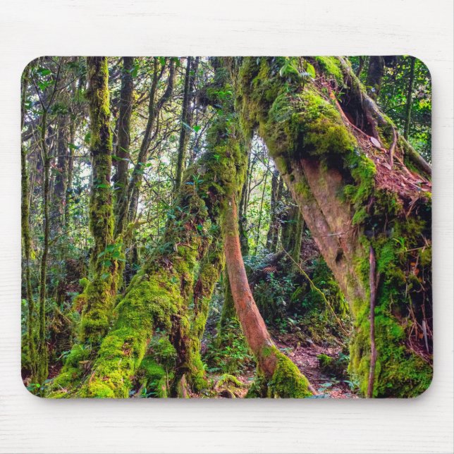 Moorwald Mousepad (Vorne)