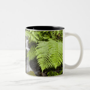 Moos bedeckte Felsen mit unscharfem Wasser und Zweifarbige Tasse