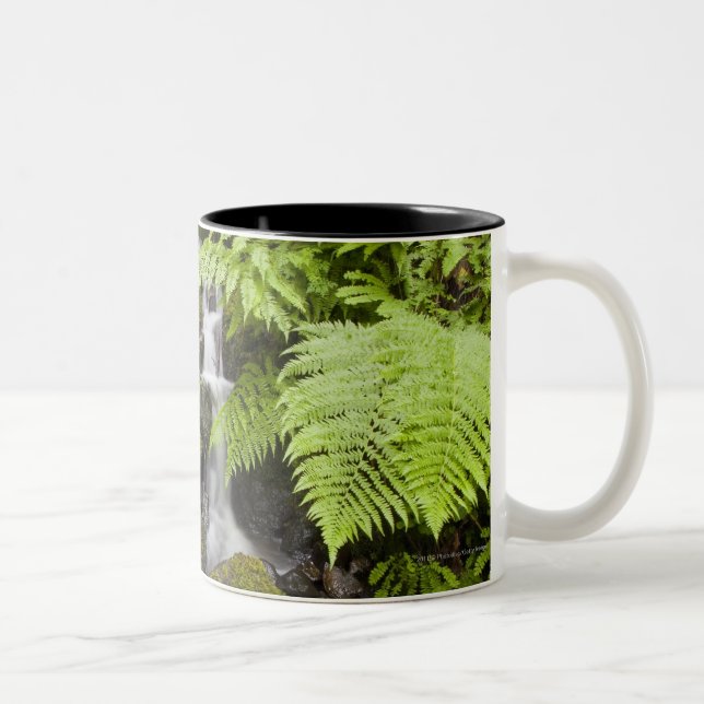Moos bedeckte Felsen mit unscharfem Wasser und Zweifarbige Tasse (Rechts)