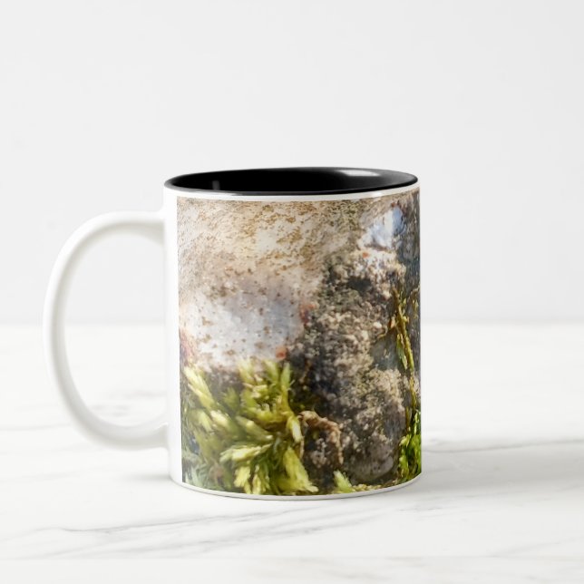 Moos Felsen Tasse  (Links)