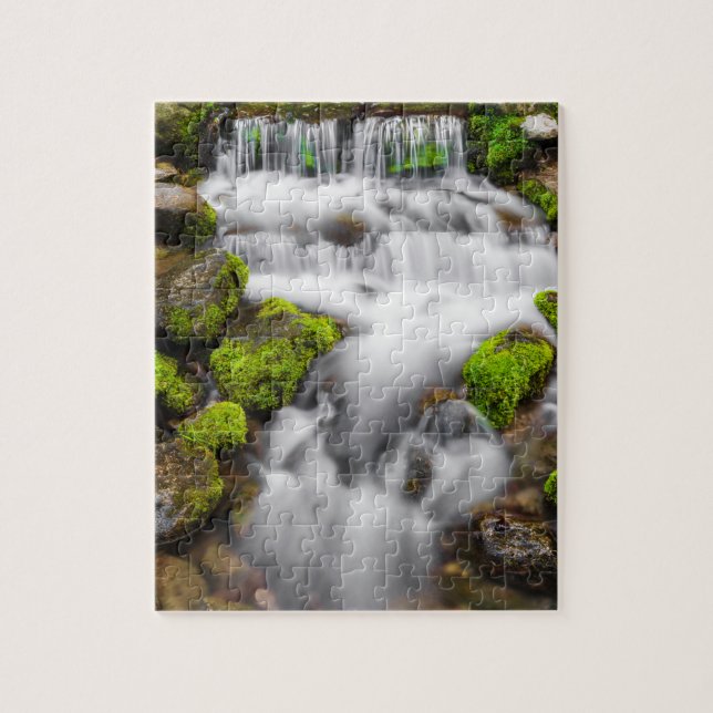 Moos um Fern Spring (Vertikal)