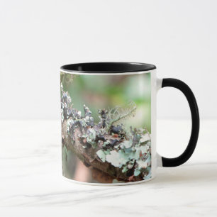 Moos und Flechten Tasse