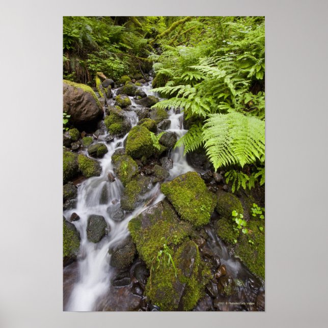 Moosbedeckte Felsen mit verschwommenem Wasser und  Poster (Vorne)